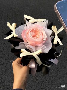 Single Ranunculus Premium – Hoa Mao Lương Đơn