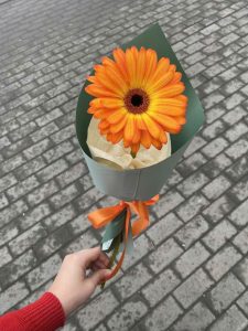 Single Gerbera Classic – Hoa Đồng Tiền Đơn