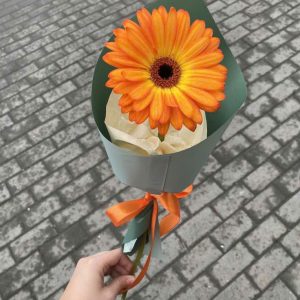 Single Gerbera Classic – Hoa Đồng Tiền Đơn